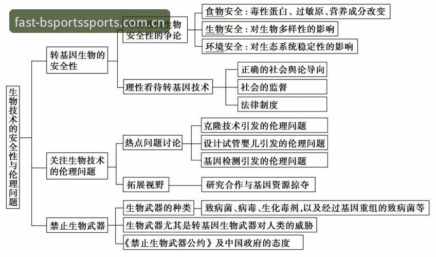 B体育无忧体验 3个创新步骤实现B体育无忧体验:从登录到安全防护的全新探索